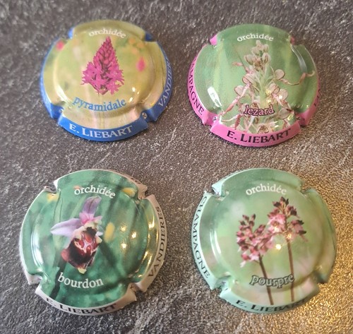 Lot capsules champagne - lot, de