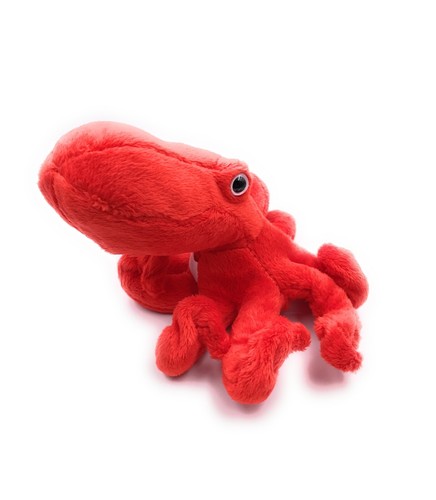 Animal peluche tissu - en,
