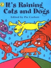 Il Pleut Des Chats Et Des Chiens Livre Broché Pie Corbett