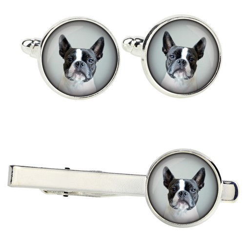 Boston terrier set with clips - terrier,