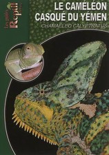 Le Caméléon Casqué du