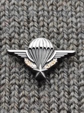Pin reduction brevet - pin's,