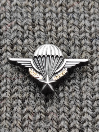 Pin reduction brevet - pin's,