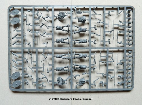 Victrix grappe guerriers - victrix,