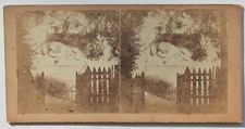 Suisse Swiss Le Lion de Lucerne Photo stéréo Papier Vintage vers 1865