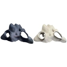 Cachette d'angle fausse racine