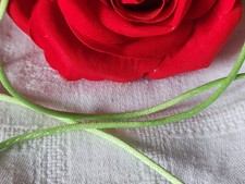 Cordon moderne queue de rat vert lumineux 4 métres 60 sur 0,3 cm B9