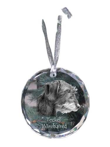 Teckel poil dur médaille - dur,