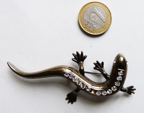 Lézard salamandre broche - lézard,