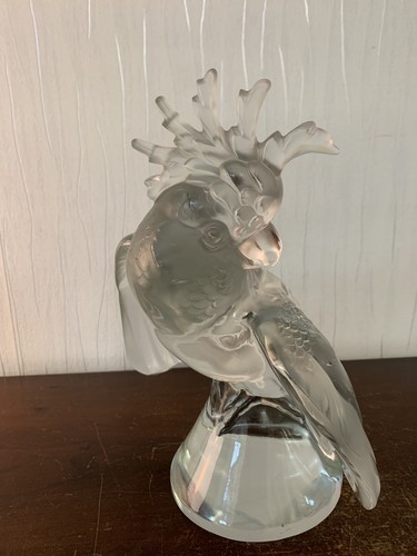 Cacatoès perroquet cristal - cacatoès,
