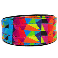 Greyhound Lurcher Lévrier Whippet Véritable Cuir Chien Chiot Collier Multicolore