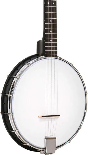 Gold tone acoustic - ac-1,