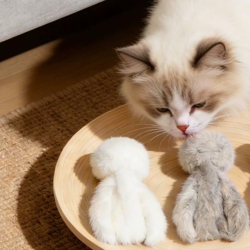 Jouet pieuvre peluche jeu - jouet, en