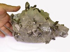 QUARTZ FUMÉ GIGANT - Affleurement de Branes, Asturies, Espagne - 22 x 15,5...