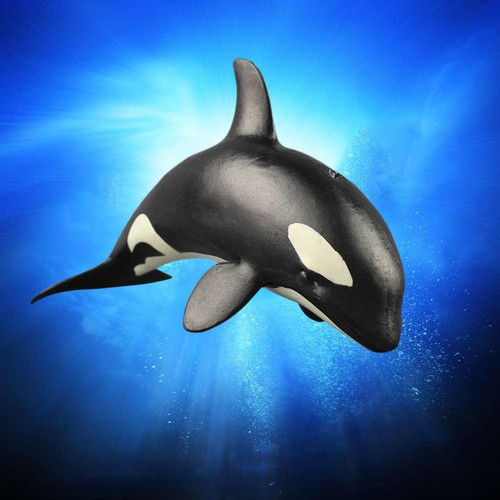 Modèle animal baleine - modèle,