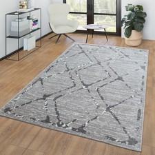 Tapis De Salon Poils Ras Tapis Vintage Design Scandinave Moderne Teintes Claires