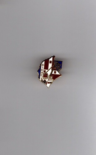 Pin armée insigne 5 ri - 5,