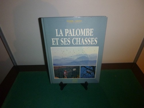 Chasse pierre verdet jesus - pierre,