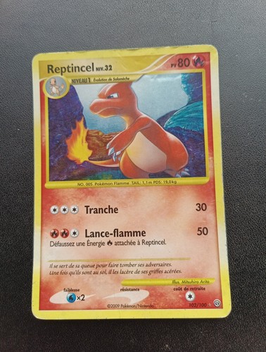 Reptincel 102 100 carte - reptincel,