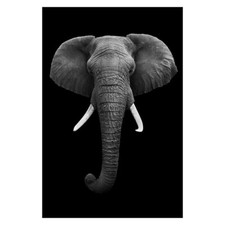 TOILE TABLEAUX ÉLÉPHANT