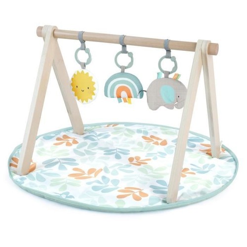 Ingenuity tapis éveil - ingenuity,