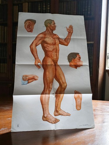 Affiche acupuncture chinoise
