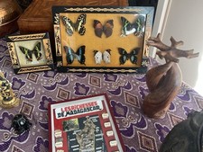 TABLEAU DE PAPILLONS