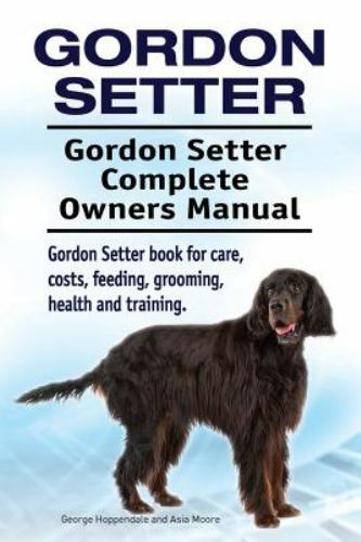 Gordon setter - setter.,