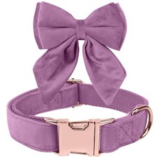 Noeud Papillon Chiens, Collier