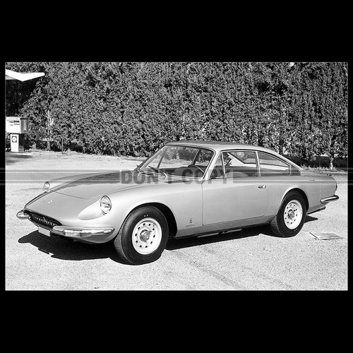 Photo 024674 ferrari - ferrari, gt
