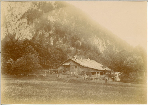 Suisse chalet vintage - ,