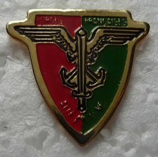 PIN'S MILITAIRE DES FORCES