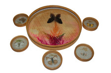 Ancien plateau de service et ces 5 sous verre ,vintage , papillons