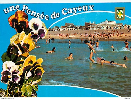 Carte postale cayeux - postale,