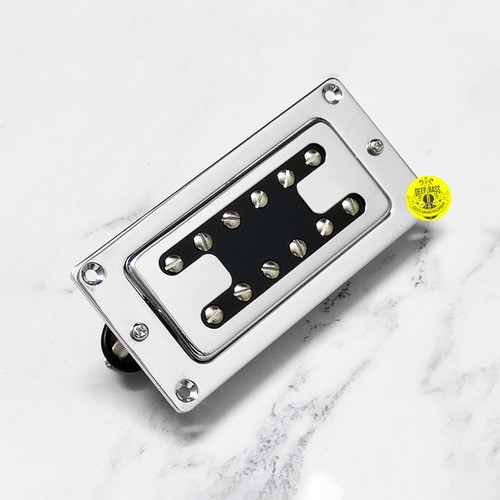 For rickenbacker electric - for,