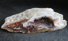 Géode d'agate / brésil