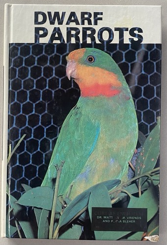 Dwarf parrots matthew - dwarf, by