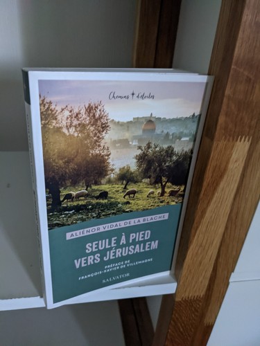 Seule pied vers jérusalem - seule,