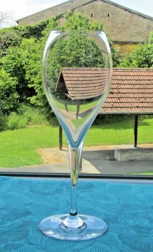 Flute champagne œnologie en - œnologie,