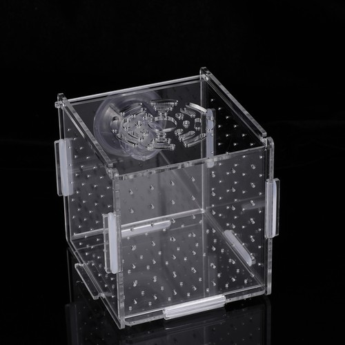 Boîte élevage pour - d'élevage,