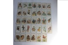 Jeu de cartes illustrée