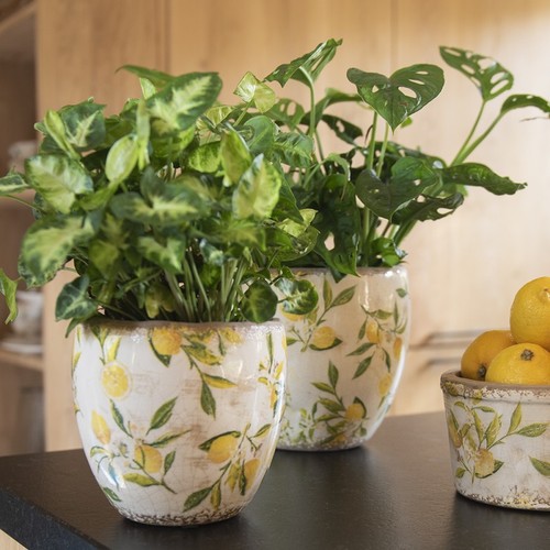 Pot fleurs citron jaune - pot,