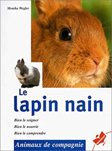 Lapin nain - le,