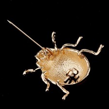 Série D'insectes De