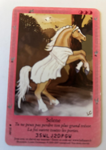 C96 carte bella sara selene - bella,