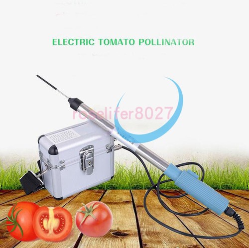 Electric cordless tomato - cordless,