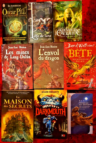 Lot livre fantasy 5 - lot.,