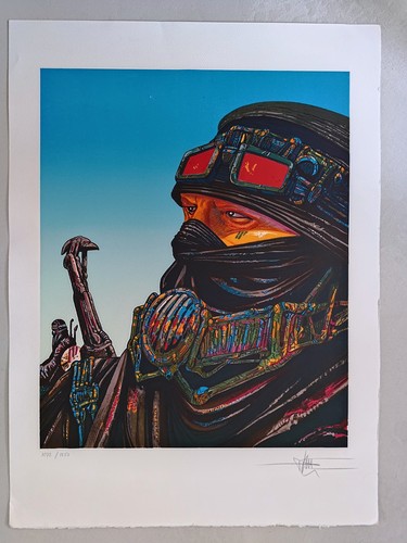 Druillet sérigraphie - druillet,