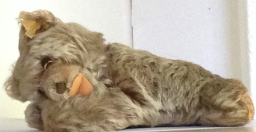 Steiff older floppy - ❤️steiff,