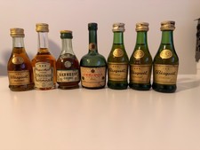 Lot de 7 Miniatures de Cognac